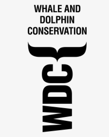 Whale And Dolphin Conservation Png, Transparent Png, Free Download