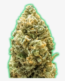 Monster Bruce Banner Auto Feminised Seeds"  Title="monster - Monster Bruce Banner Strain, HD Png Download, Free Download
