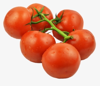 Tomatos On Stem - Plum Tomato, HD Png Download, Free Download