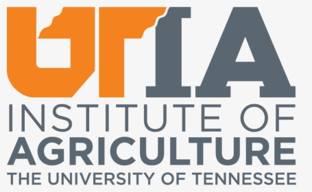 University Of Tennessee Institute For Agriculture - University Of Tennessee, HD Png Download, Free Download