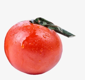 Single Tomato Clipart - Plum Tomato, HD Png Download, Free Download