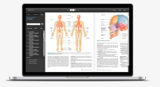 Norton Etextbook Reader Showcase Sq Spc, HD Png Download, Free Download