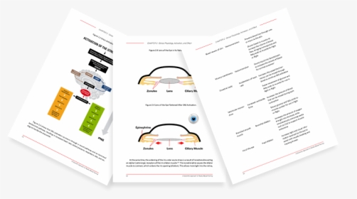 Brochure, HD Png Download, Free Download