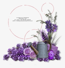Cluster Frames, HD Png Download, Free Download