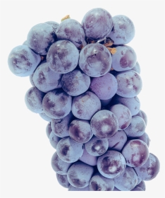 Seedless Fruit, HD Png Download, Free Download
