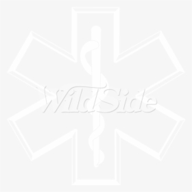 Emt Logo Png , Png Download - Snake On Pole Medical Logo, Transparent Png, Free Download