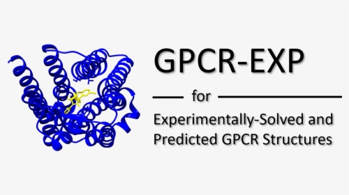 Gpcr-exp - Calligraphy, HD Png Download, Free Download