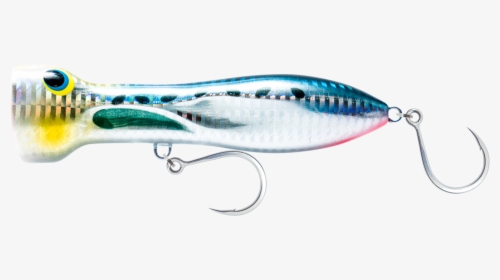 Bait Fish, HD Png Download, Free Download
