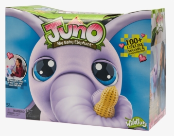 Juno The Baby Elephant, HD Png Download, Free Download