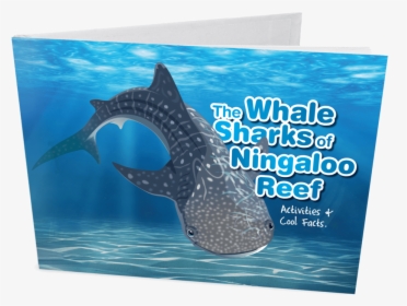Whaleshark Book Cover Mockup, HD Png Download, Free Download