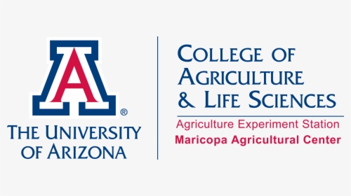 University Of Arizona Cals Logo, HD Png Download, Free Download