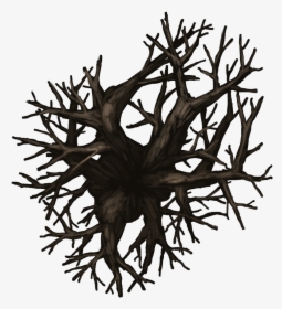 Np04 Treedecid 45x40[nature, Evil Tree, Tree, Leafless, HD Png Download, Free Download