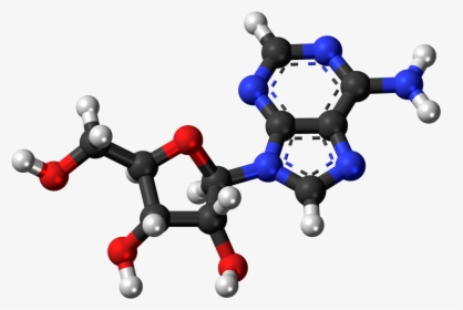Nucleic Acid 3d Model, HD Png Download, Free Download