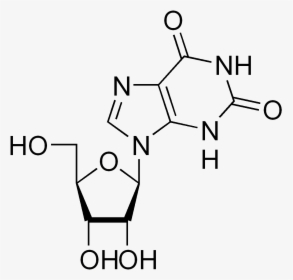 5 Ethynyl Uridine Structure, HD Png Download, Free Download