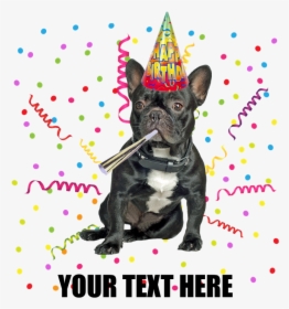 Custom French Bulldog Birthday Burp Cloth - French Bulldog Party Hat, HD Png Download, Free Download
