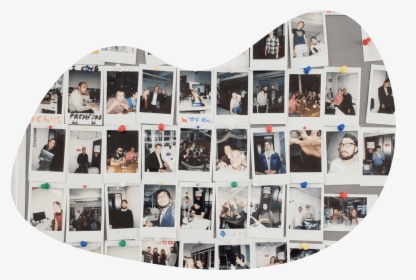 Collage, HD Png Download, Free Download