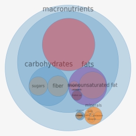 Composition Of Muscle Nutrient, HD Png Download, Free Download