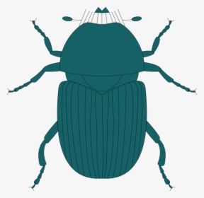 Dark Green Beetle Svg Clip Arts - Clip Art, HD Png Download, Free Download