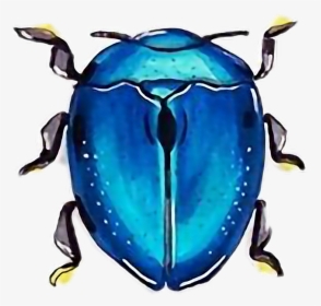 #beetle #beetles #beetlejuice #freetoedit - Leaf Beetle, HD Png Download, Free Download