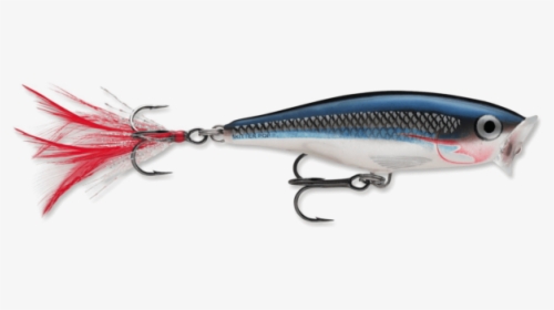 Stock Photo - Rapala Skitter Pop Sd, HD Png Download, Free Download