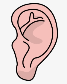 Image For Free Ear Health High Resolution Clip Art - High Resolution Ear Clip Art, HD Png Download, Free Download