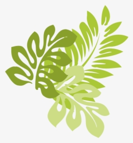 Hibiscus Leaves Svg Clip Arts - Hibiscus Leaf Clipart, HD Png Download, Free Download