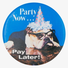 Party Now Pay Later Humorous Button Museum - Pug, HD Png Download, Free Download