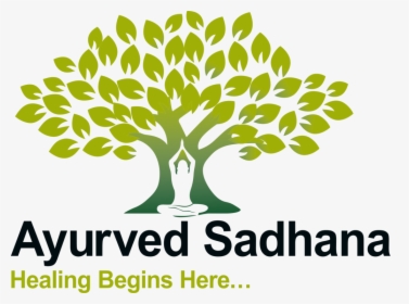 Ayurved Sadhana Png - Ayurveda Tree, Transparent Png, Free Download