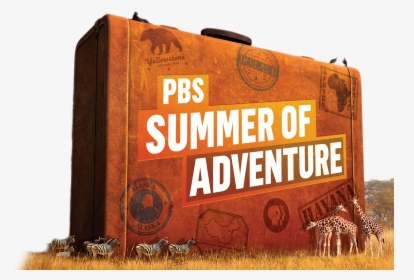 Wild Alaska Live Pbs, HD Png Download, Free Download