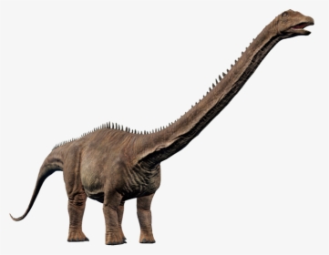   - Jurassic World Evolution Diplodocus, HD Png Download, Free Download