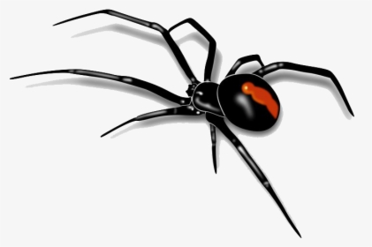 Spider Png Images Transparent Free Download - Spider Transparent Background, Png Download, Free Download