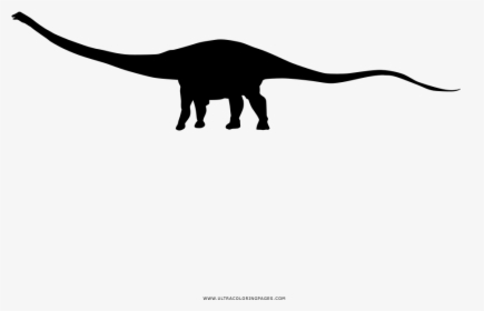 Diplodocus Coloring Page - Lesothosaurus, HD Png Download, Free Download