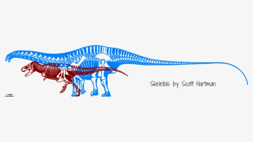 Brontosaurus Compared To T Rex, HD Png Download, Free Download