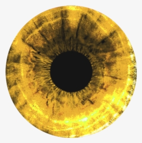 #circulo #olho #yellow #amarelo #eyes #art - Янтарные Глаза, HD Png Download, Free Download