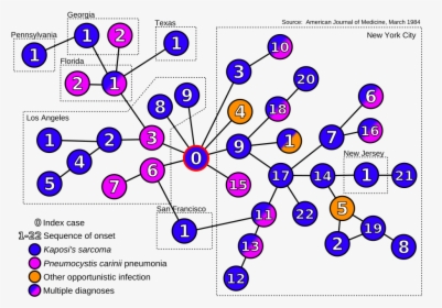 - - - - Pics - Aids Index Case Graph - Svg - Hiv Patient 0, HD Png Download, Free Download