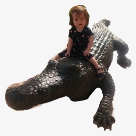 #cocodrilo - American Alligator, HD Png Download, Free Download