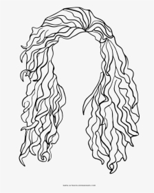 Curly Hair Coloring Page - Cabelo Cacheado Png Desenho, Transparent Png, Free Download