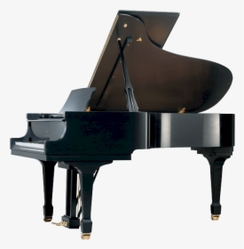Pramberger 208 Grand Piano - Acoustic Pianos, HD Png Download, Free Download