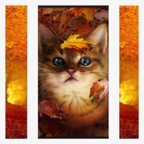 Autumn Clan Banner - Autumn Kitten, HD Png Download, Free Download