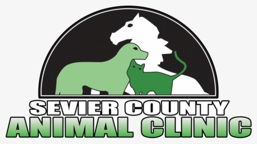 Scac New - Graphic Design, HD Png Download, Free Download