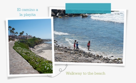 Walkway To The Beach Las Gaviotas Mamitalks - Beach, HD Png Download, Free Download