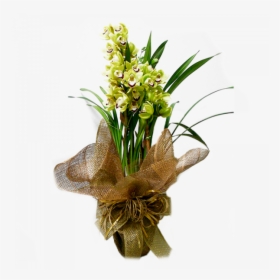 Orquídea Cymbidium Verde , Png Download - Artificial Flower, Transparent Png, Free Download