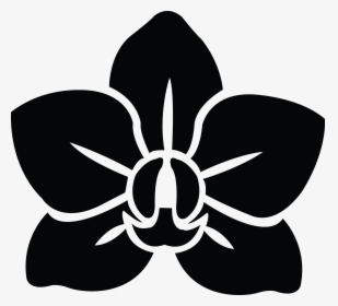 Orquídea Negra - Icono Orquidea Png, Transparent Png, Free Download