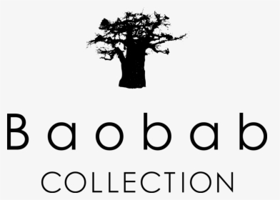 Baobab Avec Arbre Noir Hd, HD Png Download, Free Download