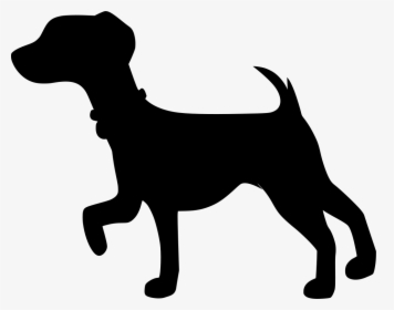 Companion Dog, HD Png Download, Free Download