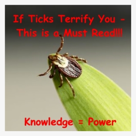 Ticks & Lyme Disease Prevention, HD Png Download, Free Download