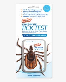 Image Description - Testing Tick For Lyme Disease, HD Png Download, Free Download