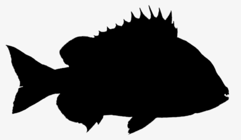 Common Carp Clip Art Vector Graphics Silhouette - Portable Network Graphics, HD Png Download, Free Download