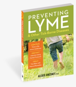 Cover - Flyer, HD Png Download, Free Download