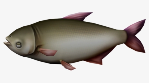 Download Zip Archive - Oily Fish, HD Png Download, Free Download